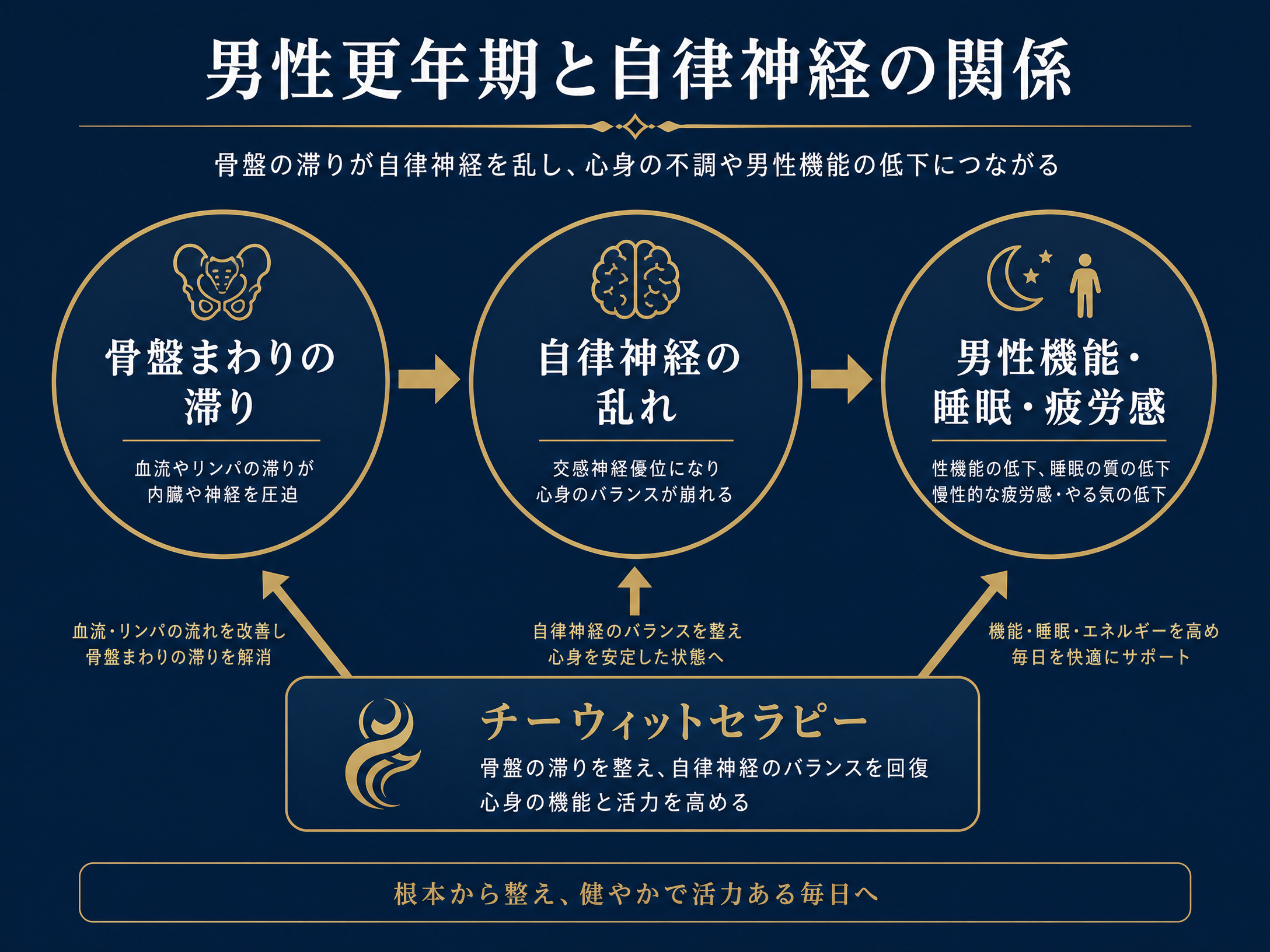 男性更年期を男性機能だけでなく、睡眠、自律神経、血流、ストレス、疲労感、テストステロン、生活習慣を含めて身体全体で捉える図