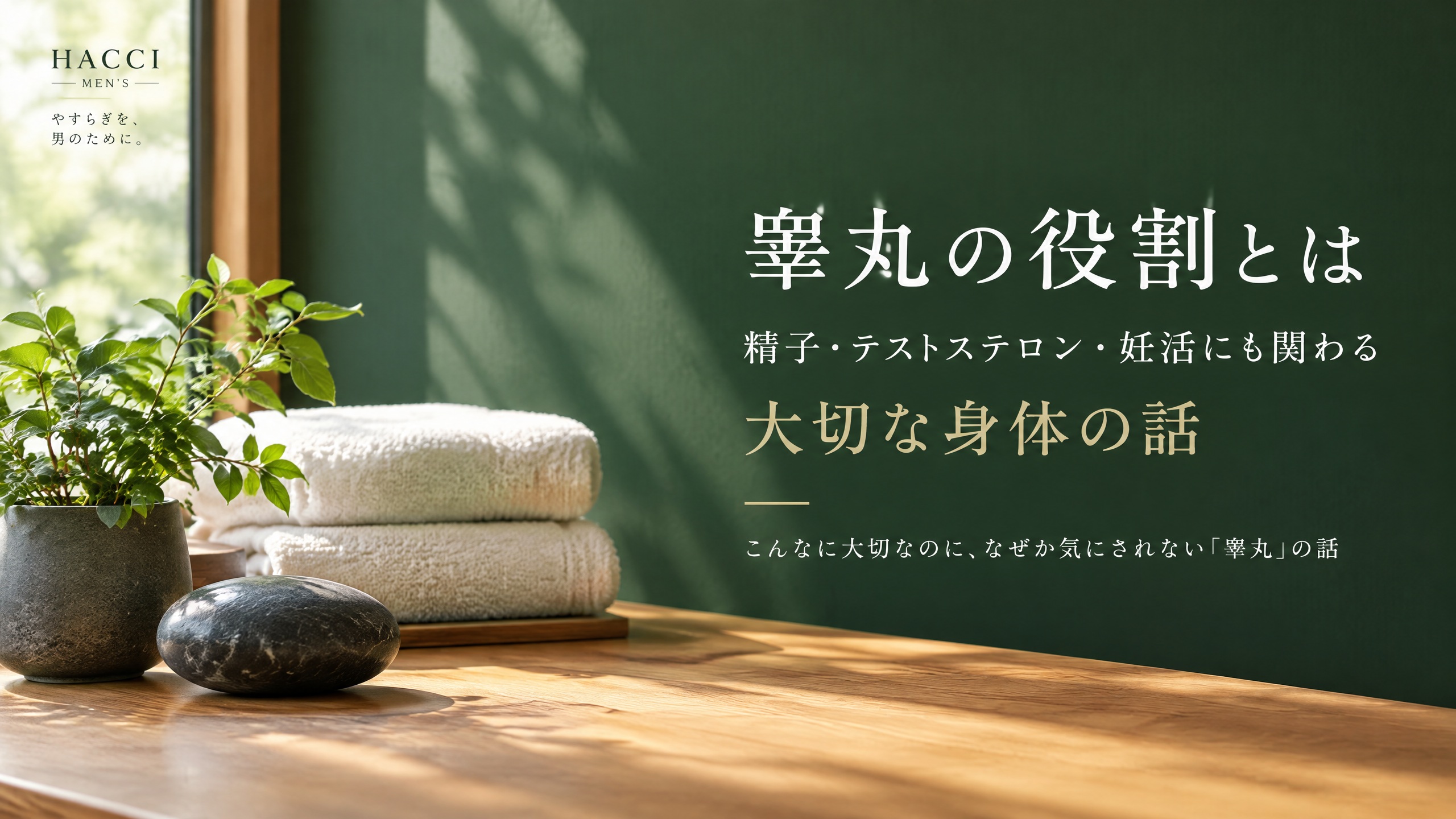 深いグリーンと木目、石、植物、清潔なタオルを配したHACCI Men's Journalのアイキャッチ画像